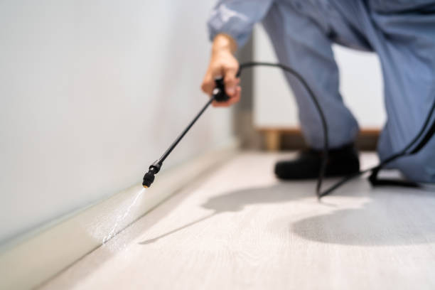 Licensed Pest Control service in Hughestown, PA - Show Me Pest Control