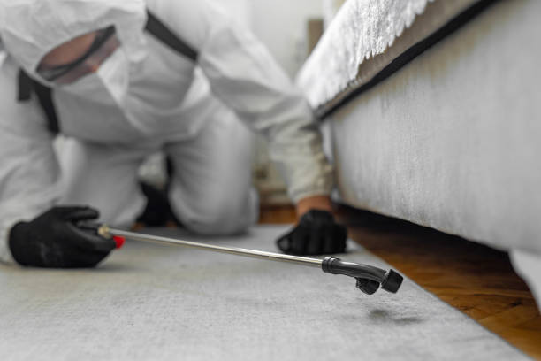 Professional Ant Control technician working in Hughestown, PA